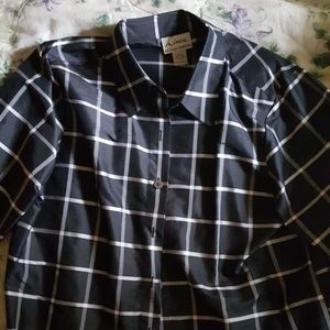 Linea by Louis Dell'Olio